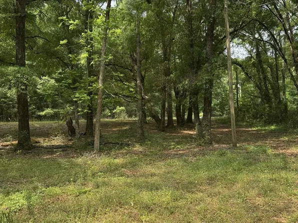 4544 N County Road 61, Hartford, AL 36344