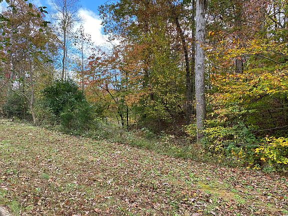 2nd image of 250 Louie Ln Lot 0
