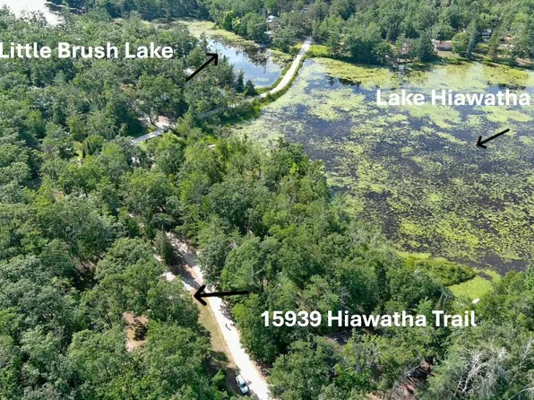 15939 Hiawatha Trl, Atlanta, MI 49709