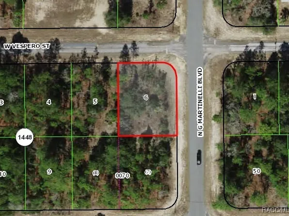 11040 N G Martinelli Blvd, Citrus Springs, FL 34433