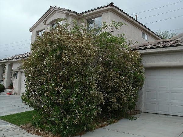 1st image of 2120 Calcite Cliff Ave