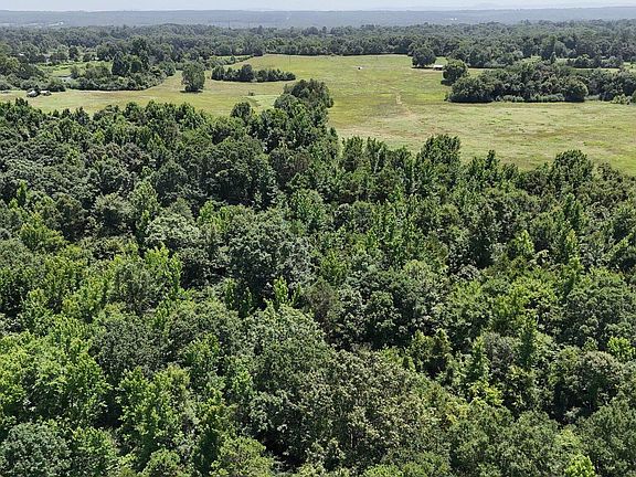 4th image of Polk Rd #283