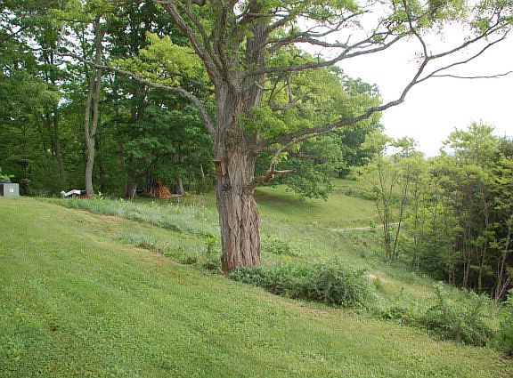 5th image of 2725 E Blue Grass Trl
