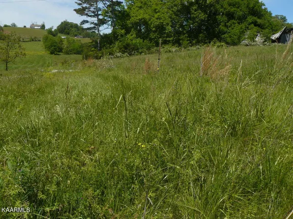 302 Howell River Rd, Rutledge, TN 37861