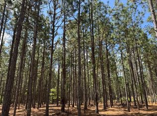 Leverne Ln, Clio, SC 29525