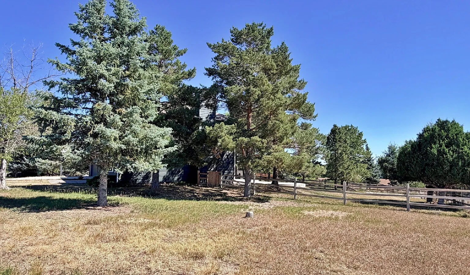 5 bed, 3.5 bath, 3111 sqft, $3,950 — Photo 4
