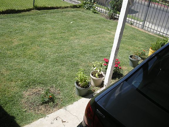 2nd image of 10504 Lou Dillon Ave