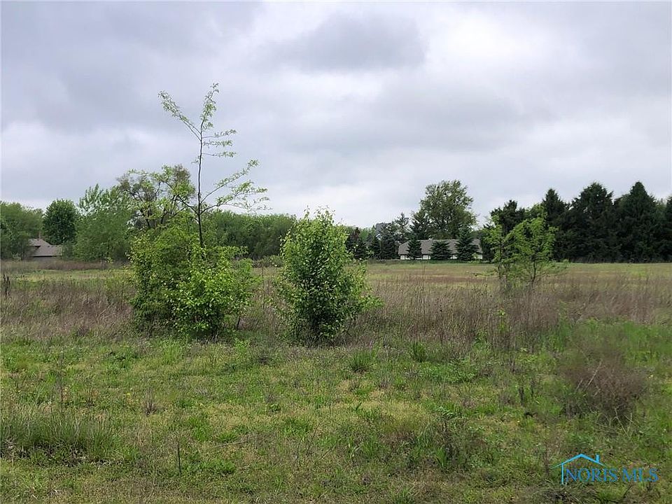 2nd image of 7640 Maumee Western Rd Lot 4