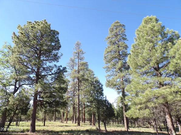 4510 HACKAMORE Way #68, Happy Jack, AZ 86024