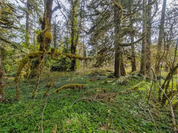 0 E Plaza Trl, Welches, OR 97067