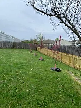 2168 Cumulus Dr — Photo 22