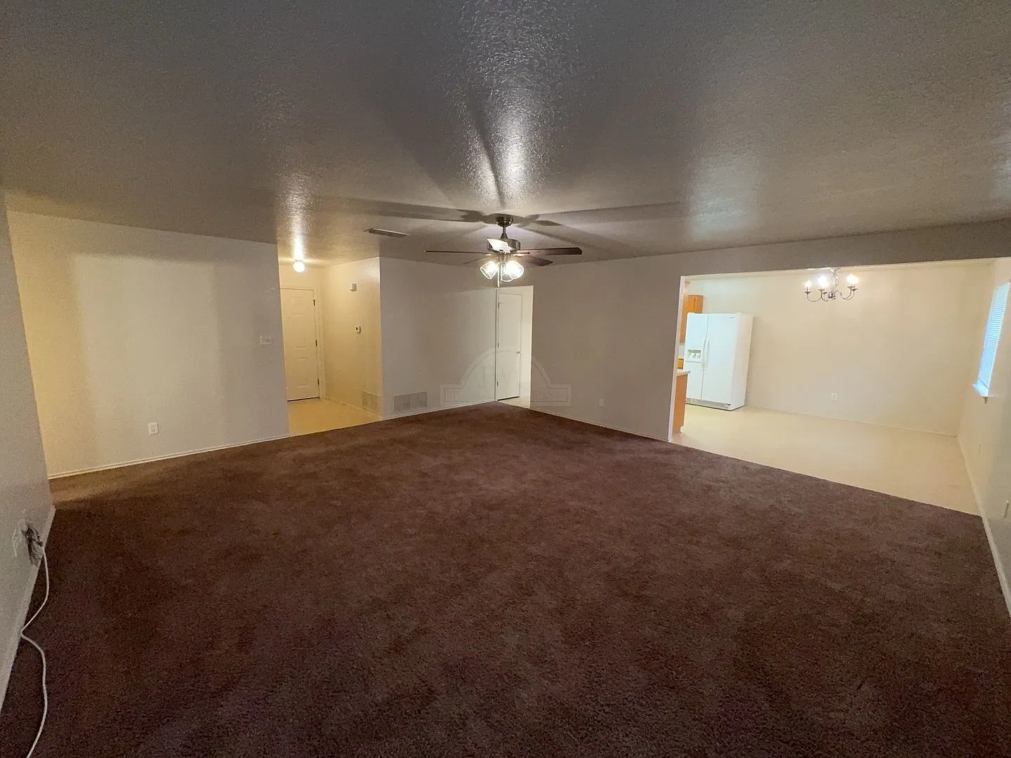 2509 Big Leaf, Killeen — Photo 4