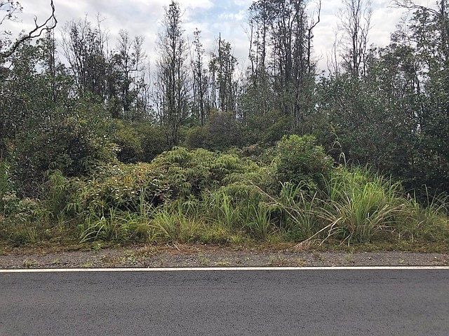1st image of Tree Fern Dr Lot 46
