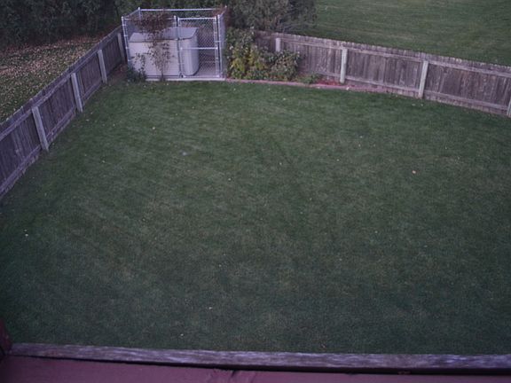 Quiet Backyard w/ Kennel