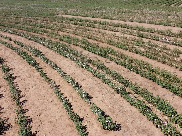 462/AC Fm 1225, Haskell, TX 79521