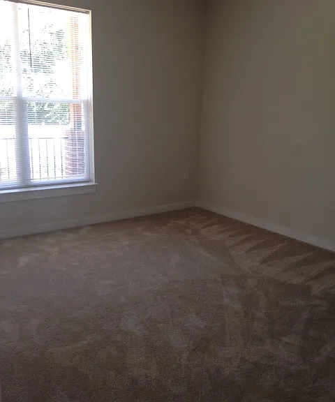 1001 Bainbridge St #7 — Photo 14