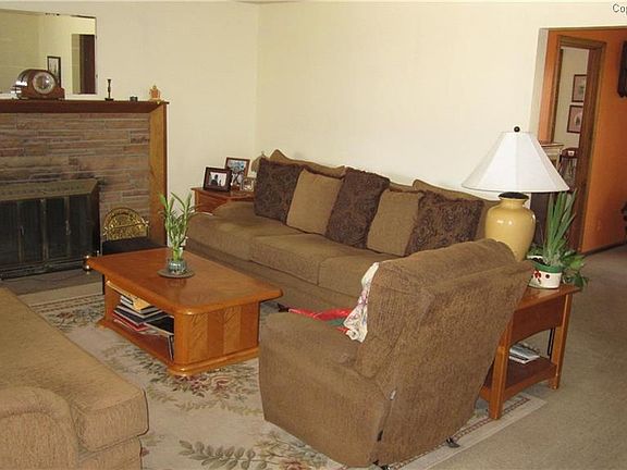 Living room with stone, wood-burning fireplace.