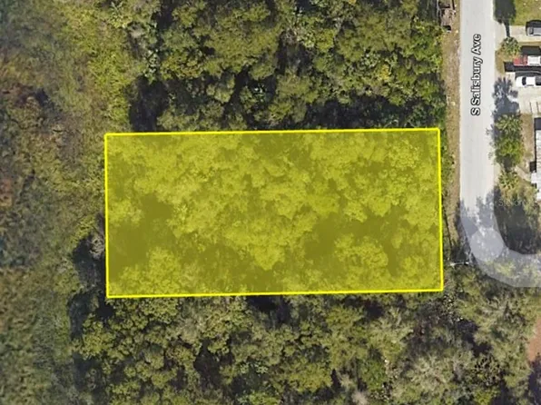 916 S SALISBURY AVENUE LOT 5, DELAND, FL 32720