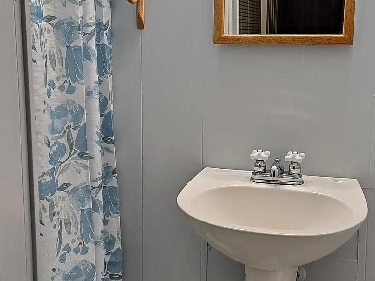 Lower level Bathroom