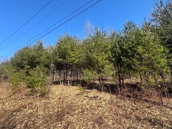 3 Beulah Land Rd #3, Blandford, MA 01008