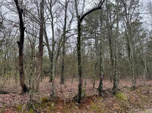 S Crystal Spgs, Royal, AR 71968