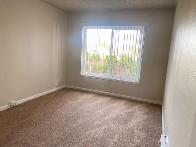 Carpet in the bedrooms big closed