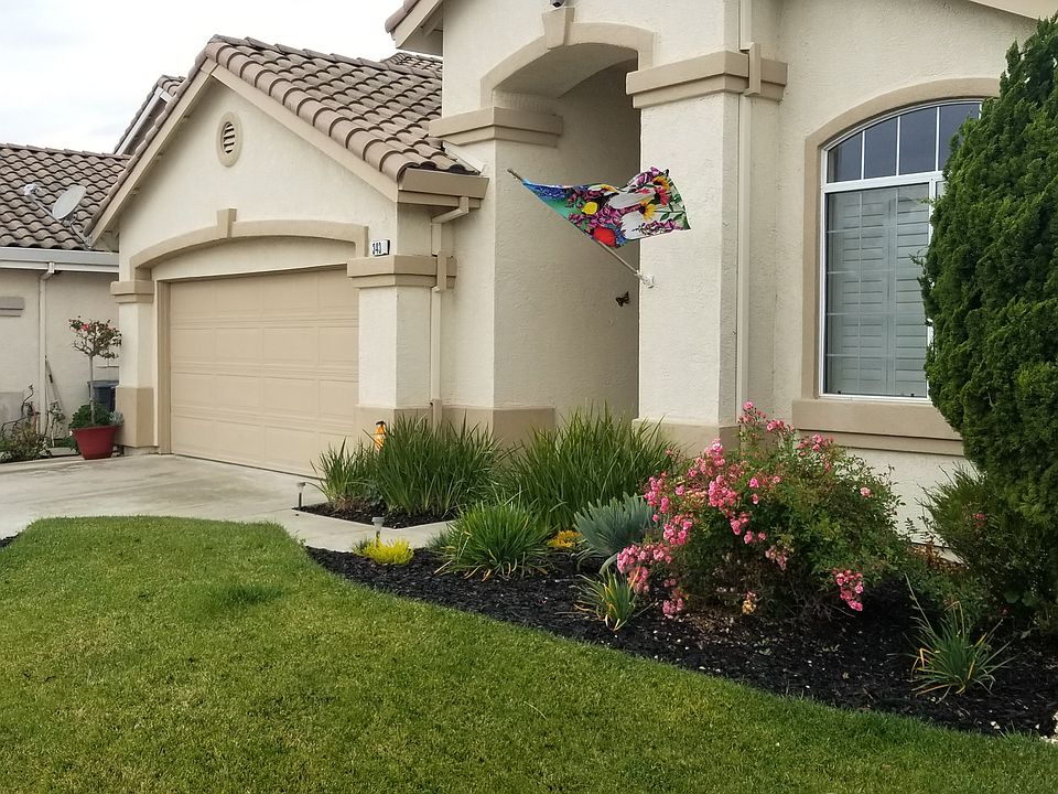 Low maintenance Landscaping
