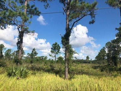 High Plains Ln, Kissimmee, FL, 34744