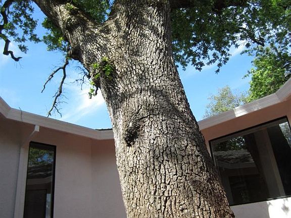 3rd image of 8606 Blythe Ave