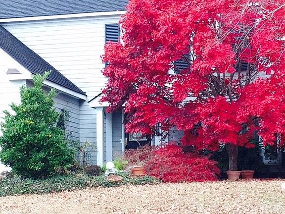 3rd image of 4004 Providence Ct