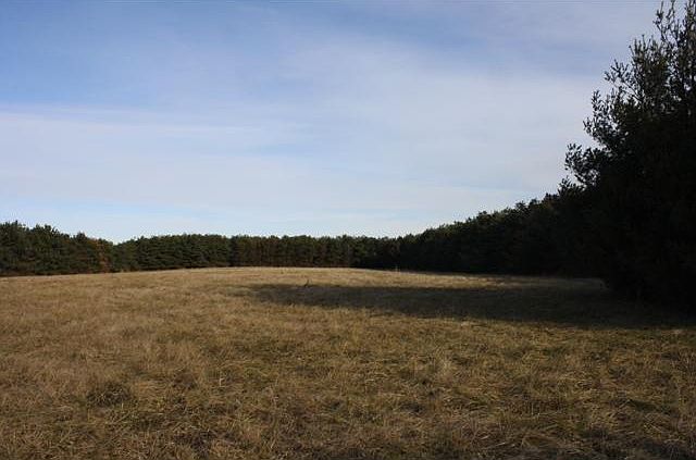 2nd image of 0 Dyer Rd