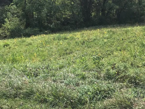 LOT 40 Brooke St, Chilhowie, VA 24319