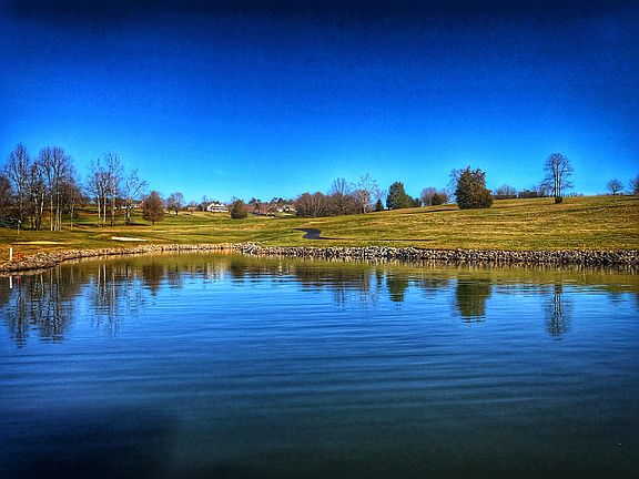 2nd image of 135 Milestone Ln