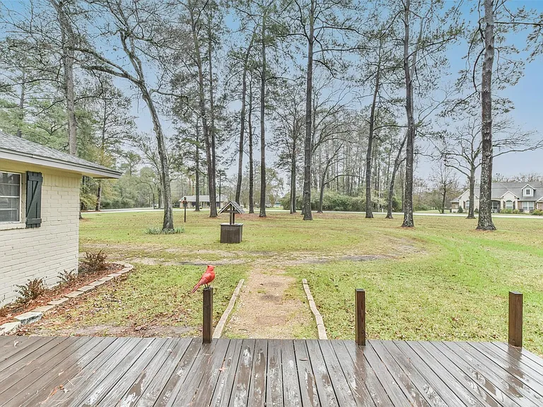23807 Red Oak Dr — Photo 25