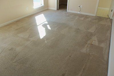 5th image of 1313 Whisperwood Ct