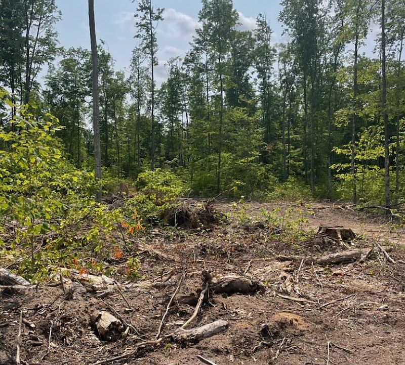 Isabell Trl 20, Wolverine, MI 49799 Zillow