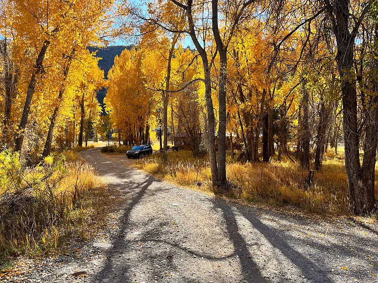 drive leading to property - autumn