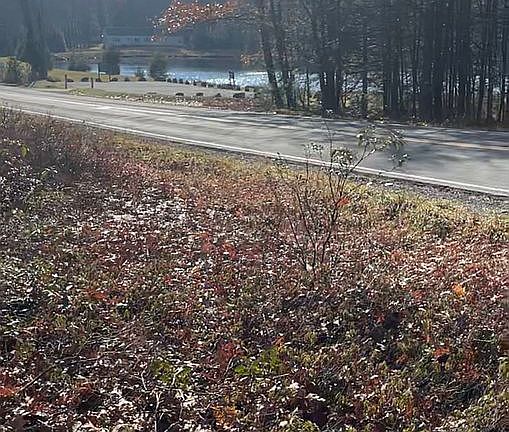 3rd image of 516 County Route 56