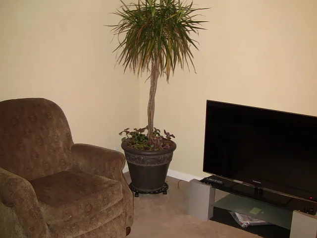 1822 Mary St #2 — Photo 6