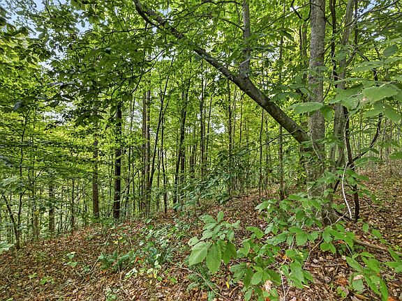 3rd image of 0 Timber Ridge Ln Lot 30