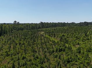 0 Deer Run Rd, Vidalia, GA 30474