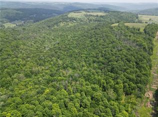 Crane Ln #38, Addison, NY 14801