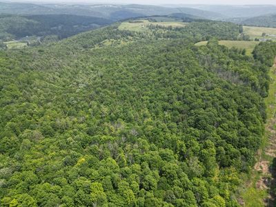 Crane Ln #38, Addison, NY, 14801