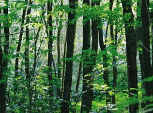 0 National Forest Access Rd, Luray, VA 22835