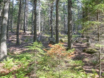 10 Island Retreat Road, Swans Island, ME, 04685