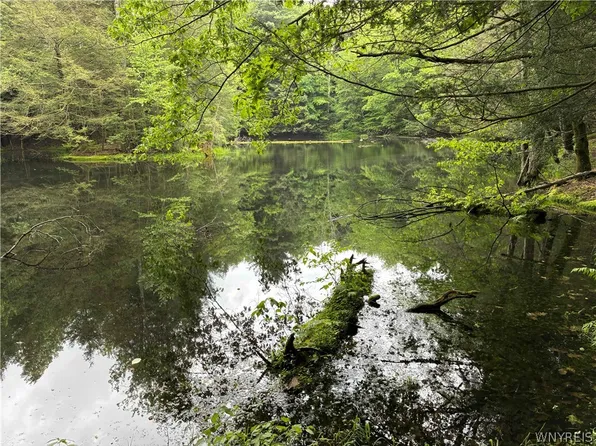 2741 Smith Hollow Rd #9, Olean, NY 14760