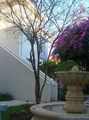 Entrance Fountain
