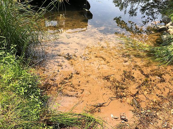 sand bottom/clear water