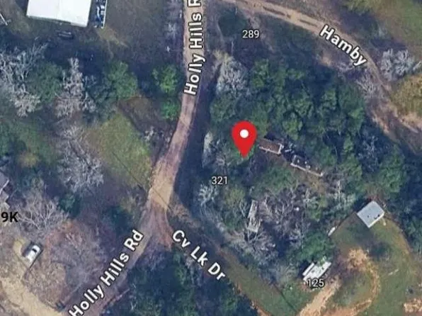 321 Holly Hill Rd, Livingston, TX 77351