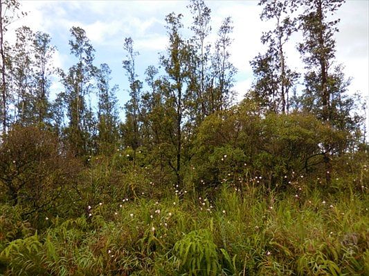 1st image of Road 8 Moho Lot 5037